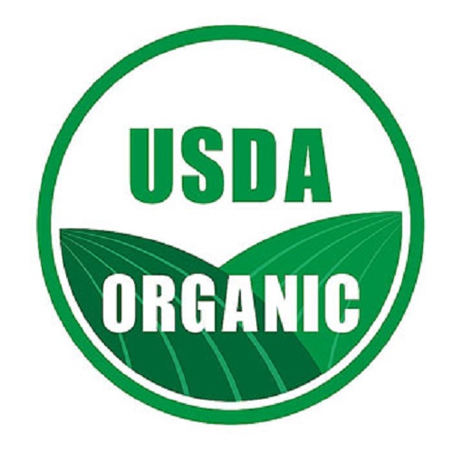 the USDA food logo